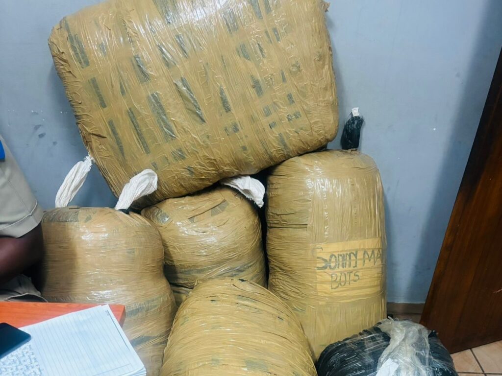 dagga roekelose bestuur