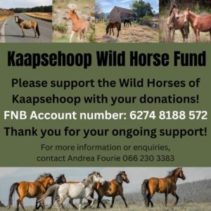 Kaapsehoop wildeperde fonds