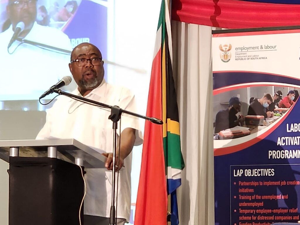 minister Thulas Nxesi